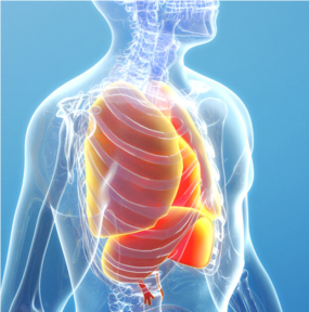 Astım Kök Hücre ve Eksozom Tedavileri