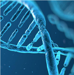 Kök Hücre Tedavisi- SVF Tedavisi nedir? Nasıl Yapılır?