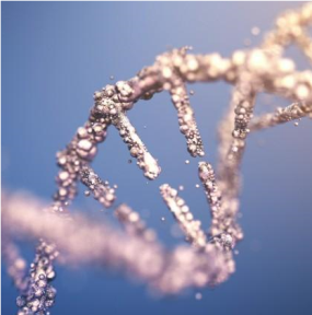 MS Hastalığında Kök Hücre ve Eksozom Tedavileri